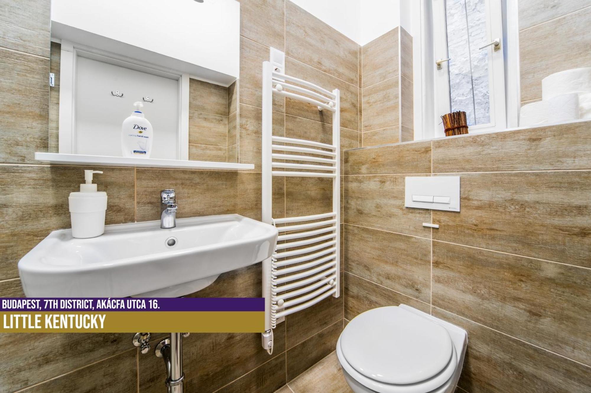 Apartament Little Americas Ring *